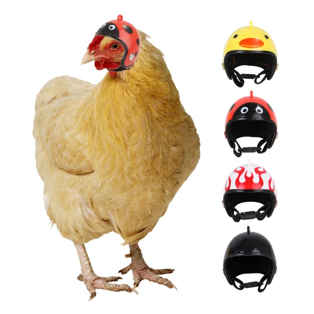 Pet X Supplies & Tack Photos - ABSペット用品 面白いペット用保護ヘッドギア 鳥用保護キャップ 日よけ雨よけ帽子 鶏用ヘルメット
