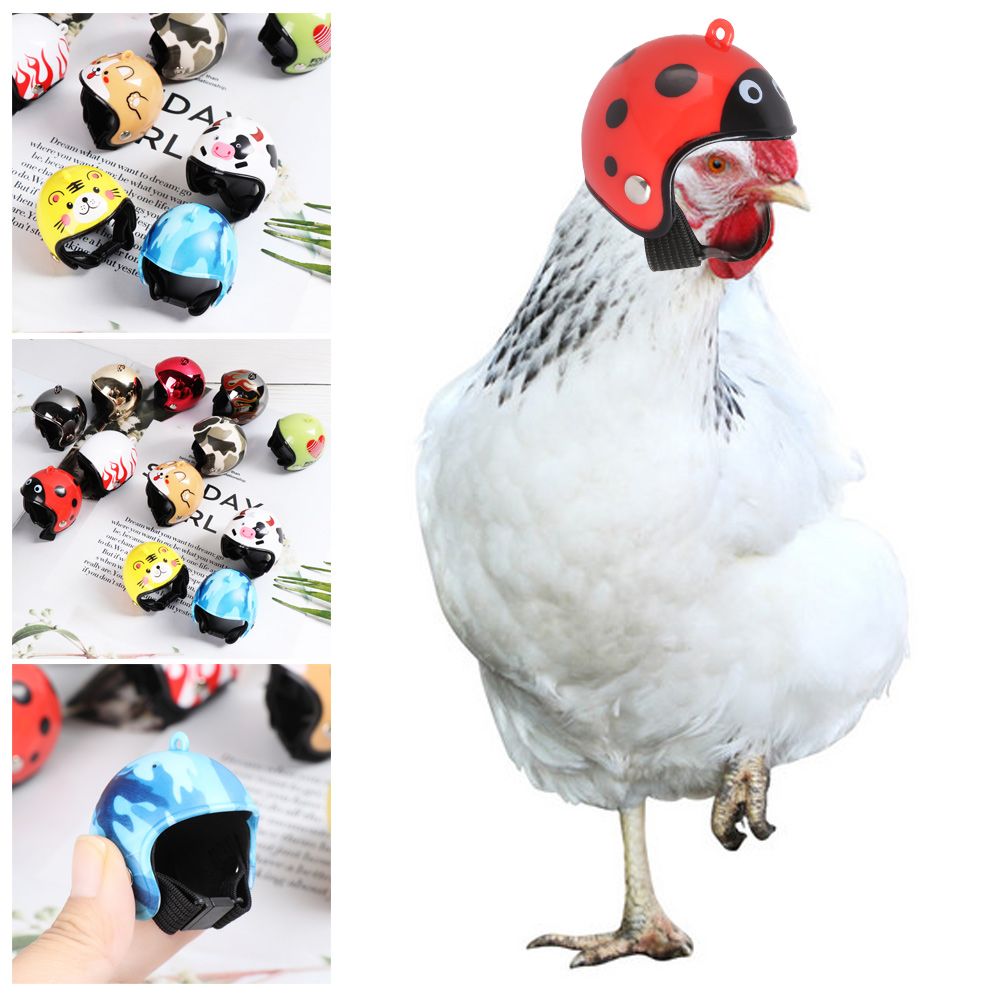 Pet X Supplies & Tack Photos - ABS製面白いペット用品ペット用保護ヘッドギア鳥用保護キャップ鶏用ヘルメット日よけ雨よけ帽子