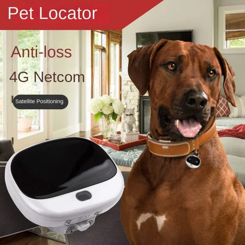 Pet Supplies Locations - ミニ4G LTE 2G GSM犬用GPSロケーター、LEDライト付き4G GPSペットトラッカー、無料アプリ付き、防水、犬用品
