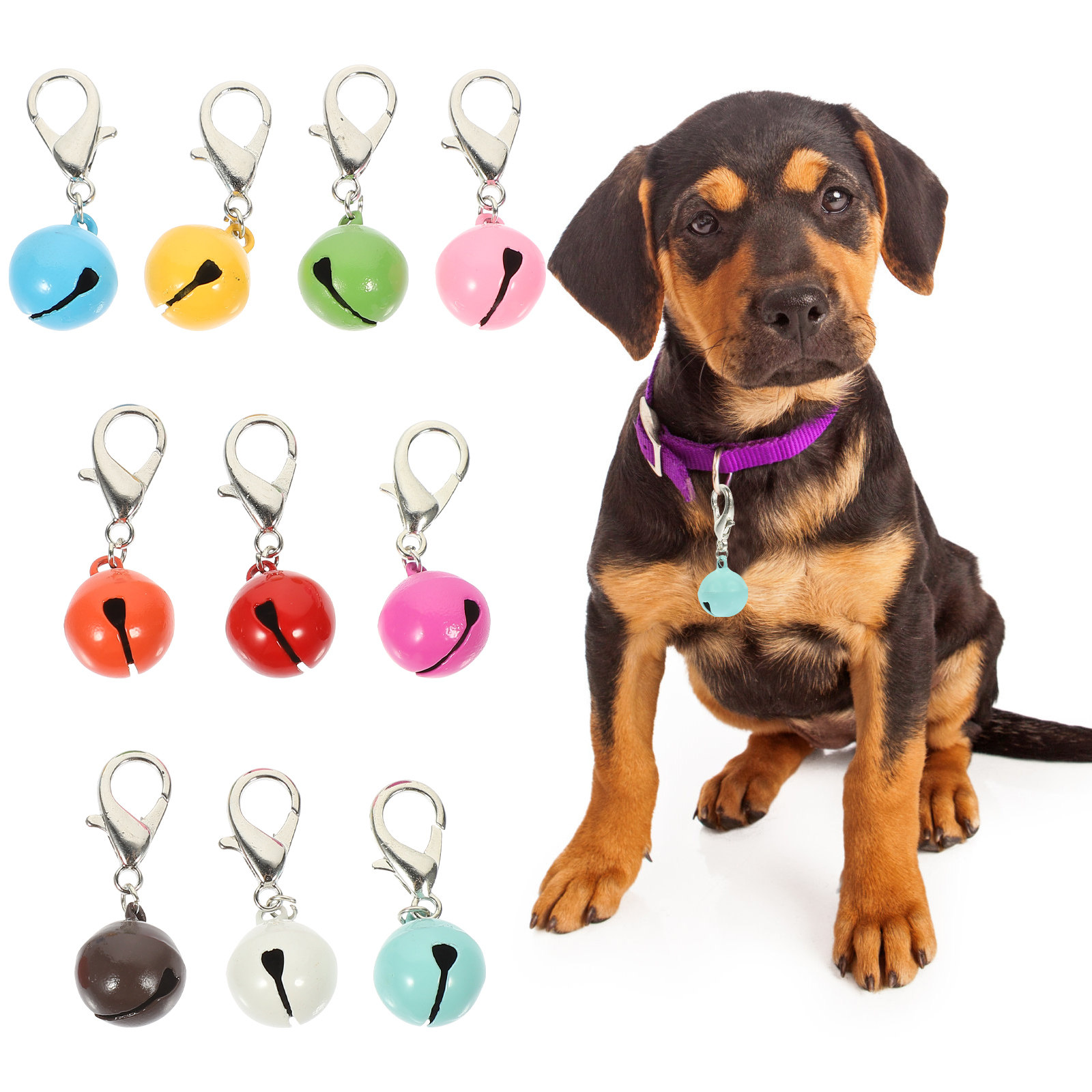 10個入りペット用首輪ベル、耐久性のある猫・犬用首輪アクセサ - Pet Supplies Locations のレビューと価格