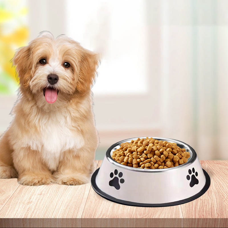 ステンレス製大容量ペットボウル 犬用フードボウル 多種類 耐 - Pet Supplies Dog Food のレビューと価格