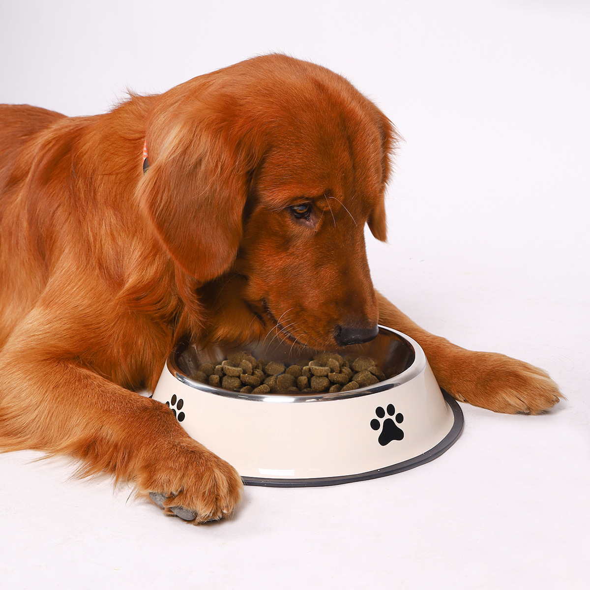 ステンレス製大容量ペットボウル 犬用フードボウル 多種類 耐 - Pet Supplies Dog Food のレビューと価格