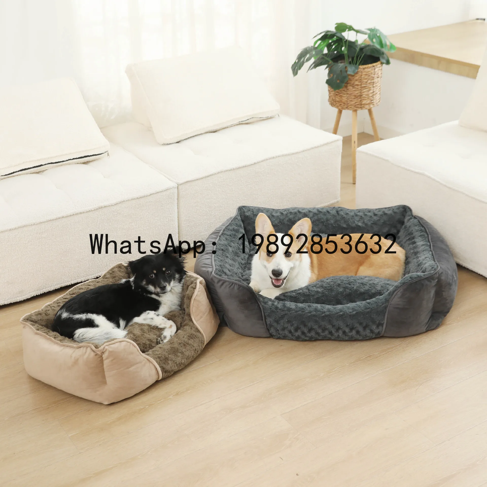 Xキャットハウス半密閉型犬小屋オールシーズンペット用品 - Pet X Supplies & Tack Photos のレビューと価格