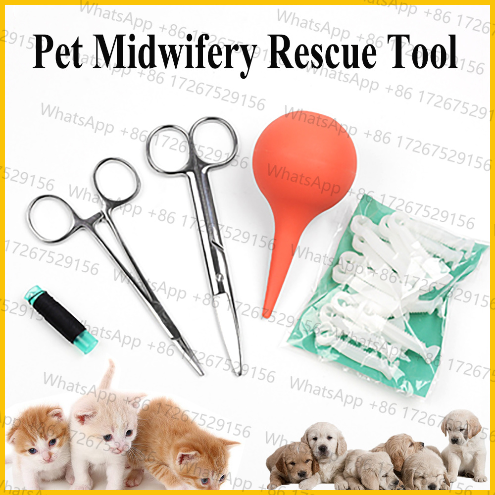 1SET ペット犬猫羊水吸引器、鼻腔妊娠分娩キット用品、臍帯 - Pet Supplies Application のレビューと価格